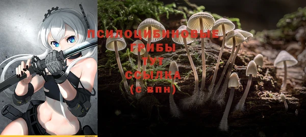 прущая мука Заволжск